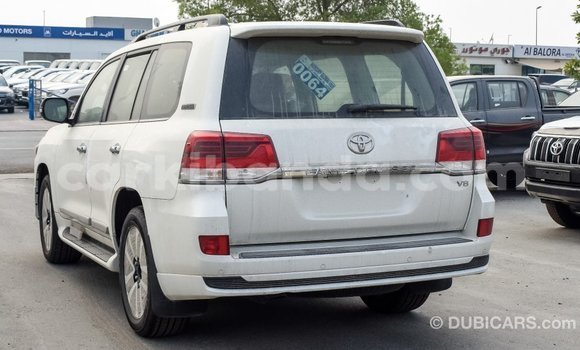 Acheter Import Voiture Toyota Land Cruiser Blanc à Import - Dubai, Ouganda Acheter Import Voiture Toyota Land Cruiser Blanc à Import - Dubai, Ouganda