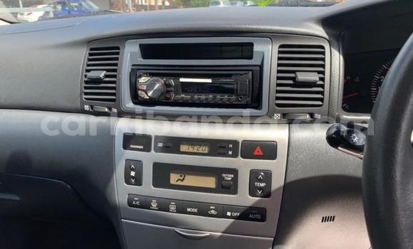 Buy Used Toyota Runx Other Car in Kampala in Uganda Buy Used Toyota Runx Other Car in Kampala in Uganda