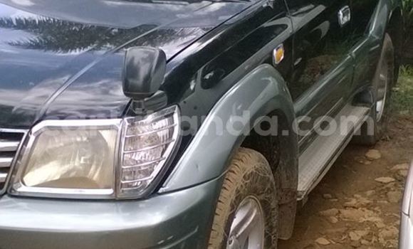 Buy Used Toyota Prado Black Car in Kampala in Uganda Buy Used Toyota Prado Black Car in Kampala in Uganda