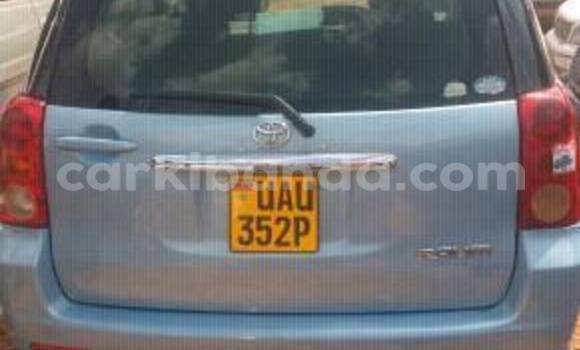 Acheter Occasion Voiture Toyota Raum Autre à Kampala, Ouganda Acheter Occasion Voiture Toyota Raum Autre à Kampala, Ouganda