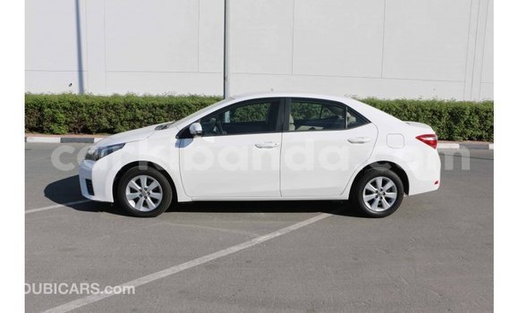 Buy Import Toyota Corolla White Car in Import - Dubai in Uganda Buy Import Toyota Corolla White Car in Import - Dubai in Uganda