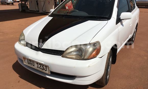 Buy Used Toyota Platz White Car in Kampala in Uganda Buy Used Toyota Platz White Car in Kampala in Uganda