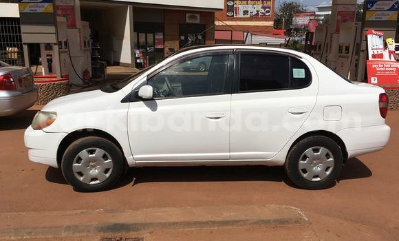 Buy Used Toyota Platz White Car in Kampala in Uganda Buy Used Toyota Platz White Car in Kampala in Uganda