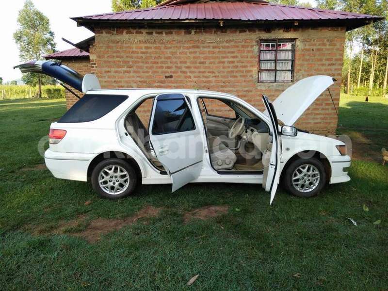 Big with watermark 2016 12 07 02 07 46 img20161207wa0016 800 640 0