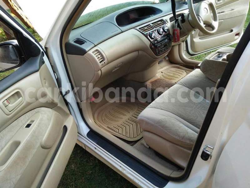 Big with watermark 15418312 1330361203689288 3404231100346447326 o