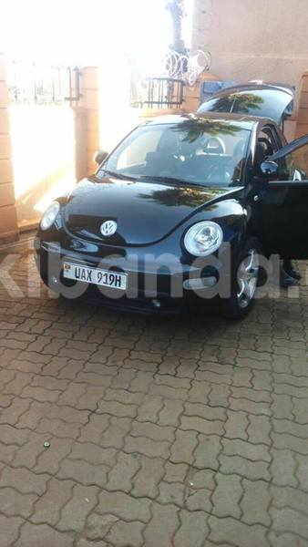 Big with watermark 2016 12 07 02 07 46 img20161207wa0016 800 640 0