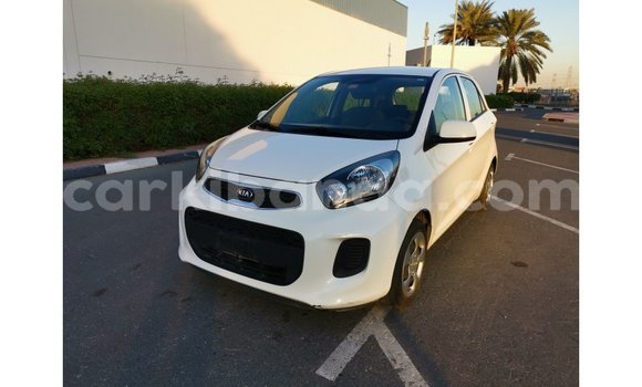 Buy Import Kia Picanto White Car in Import - Dubai in Uganda Buy Import Kia Picanto White Car in Import - Dubai in Uganda