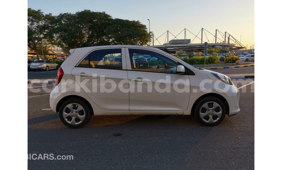 Buy Import Kia Picanto White Car in Import - Dubai in Uganda Buy Import Kia Picanto White Car in Import - Dubai in Uganda