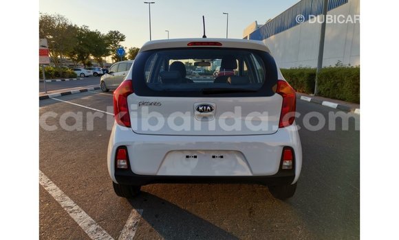 Buy Import Kia Picanto White Car in Import - Dubai in Uganda Buy Import Kia Picanto White Car in Import - Dubai in Uganda
