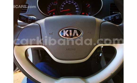 Buy Import Kia Picanto White Car in Import - Dubai in Uganda Buy Import Kia Picanto White Car in Import - Dubai in Uganda