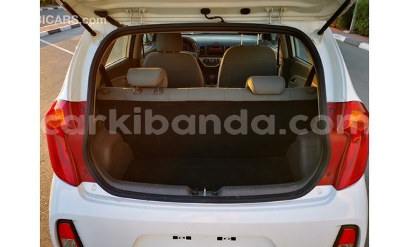 Buy Import Kia Picanto White Car in Import - Dubai in Uganda Buy Import Kia Picanto White Car in Import - Dubai in Uganda