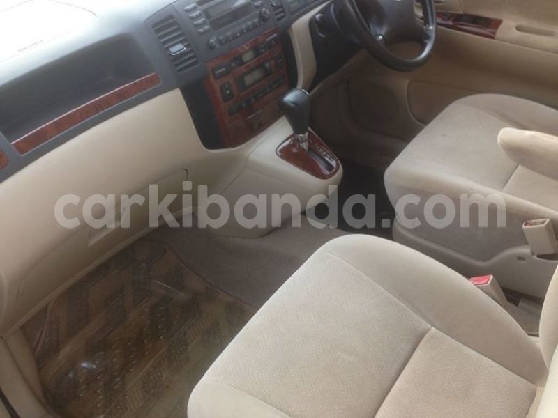 Big with watermark 15590123 1873629849587474 5620022596992670559 n