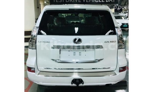 Gura Imported Lexus GX White Imodoka i Import - Dubai mu Uganda Gura Imported Lexus GX White Imodoka i Import - Dubai mu Uganda
