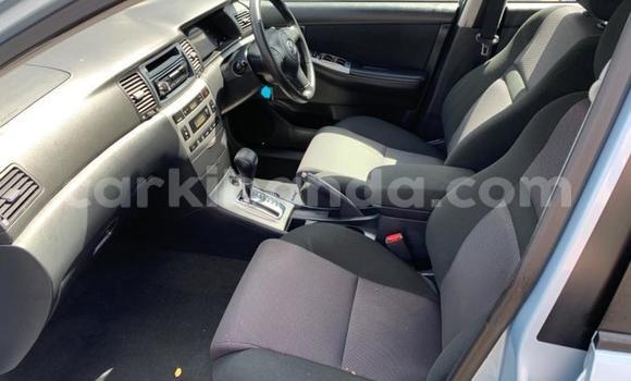 Gura Yakoze Toyota Runx Other Imodoka i Kampala mu Uganda Gura Yakoze Toyota Runx Other Imodoka i Kampala mu Uganda