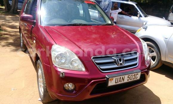 Buy Used Honda CR–V Red Car in Kampala in Uganda