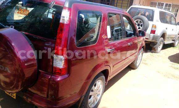 Gura Yakoze Honda CR–V Red Imodoka i Kampala mu Uganda Gura Yakoze Honda CR–V Red Imodoka i Kampala mu Uganda