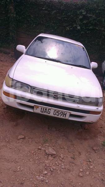 Big with watermark 15284065 1129442633839910 5230908860684797680 n