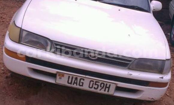 Buy Used Toyota Corolla White Car in Kampala in Uganda Buy Used Toyota Corolla White Car in Kampala in Uganda
