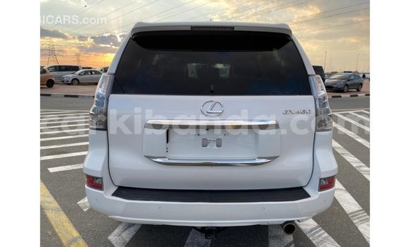 Nunua Imported Lexus GX Nyeupe Gari ndani ya Import - Dubai nchini Uganda Nunua Imported Lexus GX Nyeupe Gari ndani ya Import - Dubai nchini Uganda