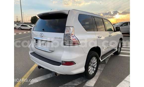 Nunua Imported Lexus GX Nyeupe Gari ndani ya Import - Dubai nchini Uganda Nunua Imported Lexus GX Nyeupe Gari ndani ya Import - Dubai nchini Uganda