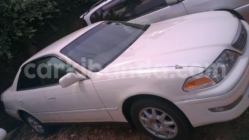 Big with watermark 15285033 1129442643839909 5134408343826197814 n