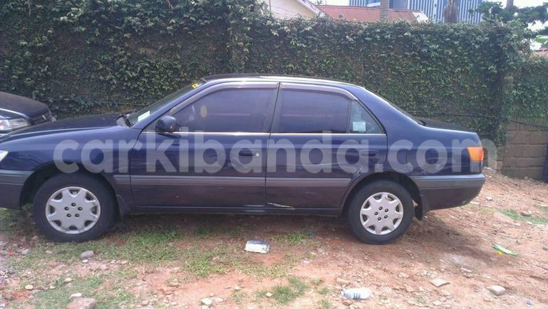 Big with watermark 15285033 1129442643839909 5134408343826197814 n