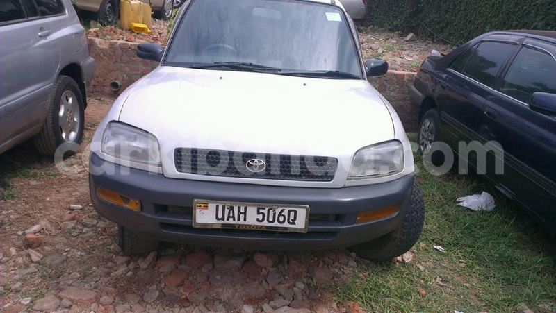 Big with watermark 15284065 1129442633839910 5230908860684797680 n