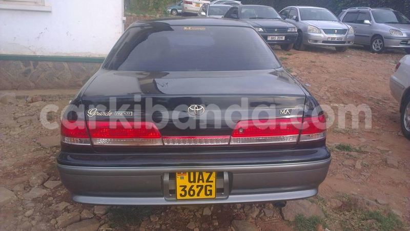 Big with watermark 15285033 1129442643839909 5134408343826197814 n