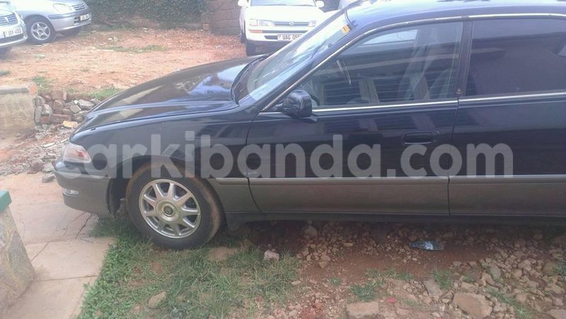 Big with watermark 15578737 1281570078576389 5086098407229006862 n