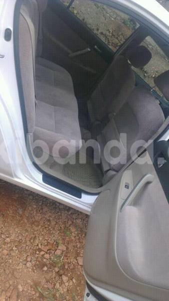 Big with watermark 15578737 1281570078576389 5086098407229006862 n