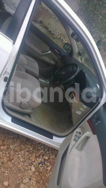 Big with watermark 15590123 1873629849587474 5620022596992670559 n