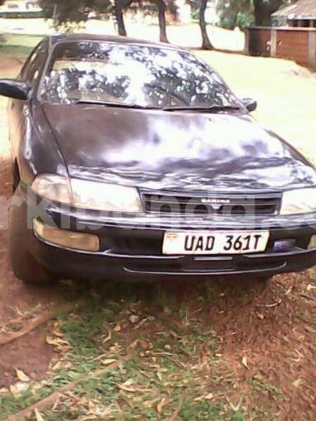 Big with watermark 15284065 1129442633839910 5230908860684797680 n