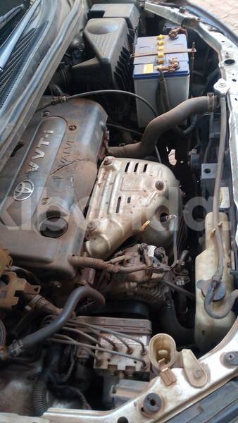 Big with watermark 15285033 1129442643839909 5134408343826197814 n