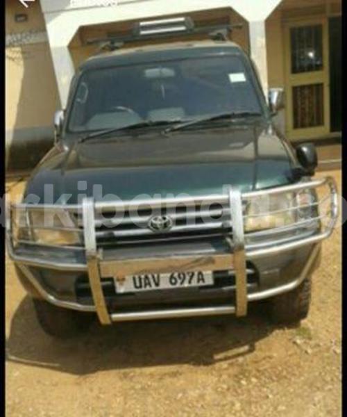 Big with watermark 15578737 1281570078576389 5086098407229006862 n