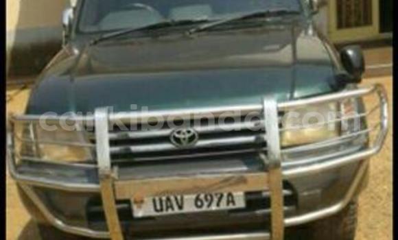 Buy Used Toyota Prado Car in Kampala in Uganda Buy Used Toyota Prado Car in Kampala in Uganda