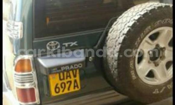 Buy Used Toyota Prado Car in Kampala in Uganda Buy Used Toyota Prado Car in Kampala in Uganda