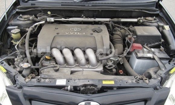 Buy Used Toyota Runx Black Car in Kampala in Uganda Buy Used Toyota Runx Black Car in Kampala in Uganda