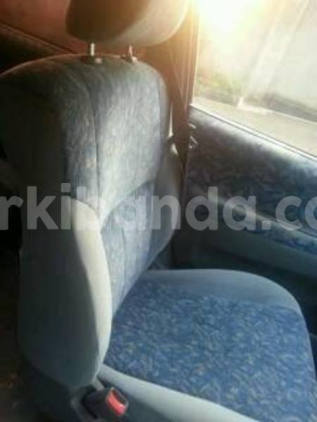 Big with watermark 15590123 1873629849587474 5620022596992670559 n