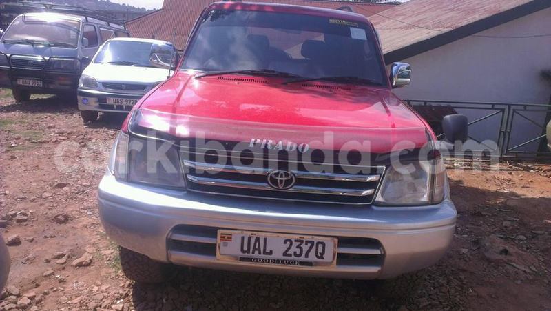 Big with watermark 15285033 1129442643839909 5134408343826197814 n