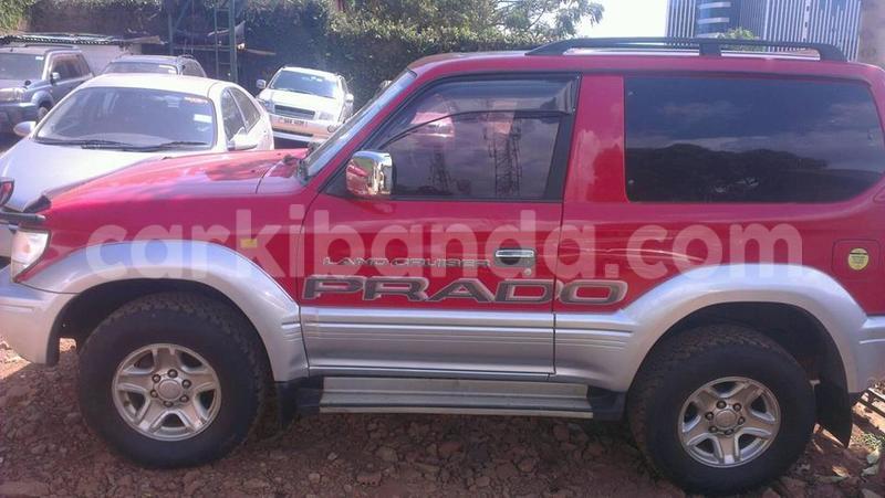 Big with watermark 15284065 1129442633839910 5230908860684797680 n