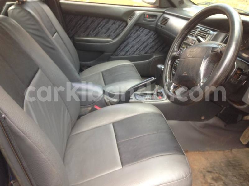 Big with watermark 15285033 1129442643839909 5134408343826197814 n