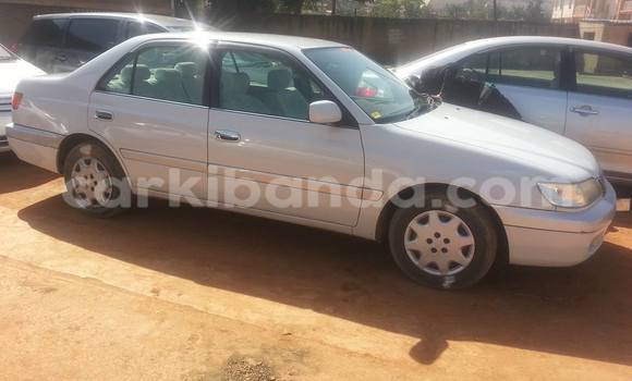 Buy Used Toyota Premio Silver Car in Kampala in Uganda Buy Used Toyota Premio Silver Car in Kampala in Uganda