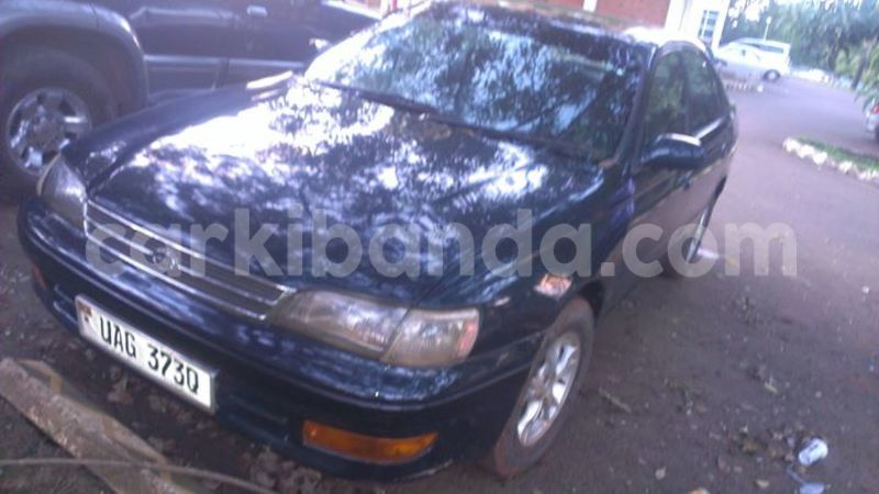 Big with watermark 15285033 1129442643839909 5134408343826197814 n