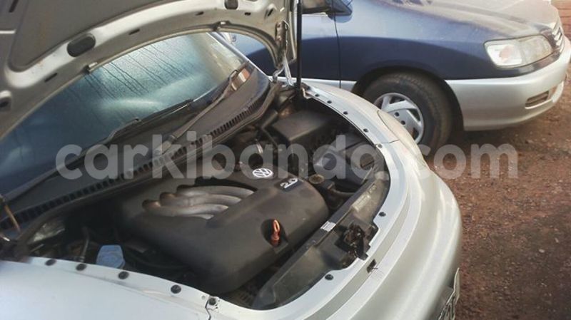 Big with watermark 15578737 1281570078576389 5086098407229006862 n