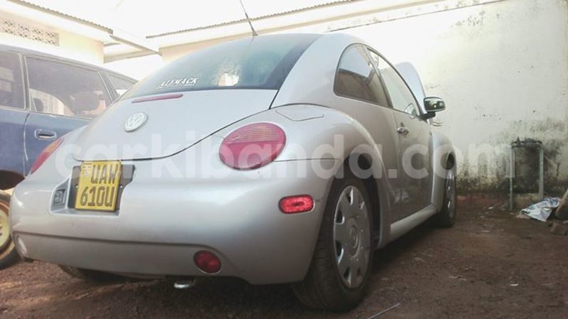 Big with watermark 15285033 1129442643839909 5134408343826197814 n