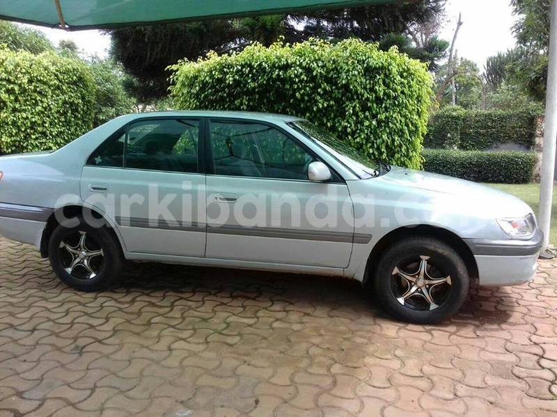 Big with watermark 15578737 1281570078576389 5086098407229006862 n