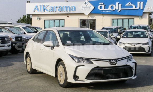 Buy Import Toyota Corolla White Car in Import - Dubai in Uganda Buy Import Toyota Corolla White Car in Import - Dubai in Uganda