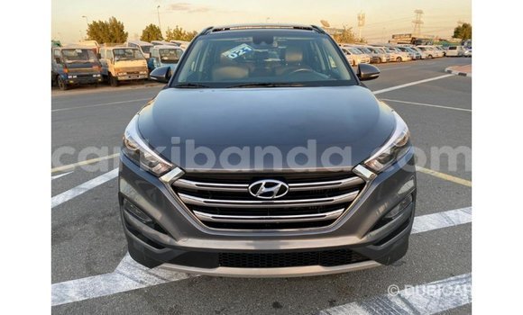 Buy Import Hyundai Tucson Other Car in Import - Dubai in Uganda Buy Import Hyundai Tucson Other Car in Import - Dubai in Uganda