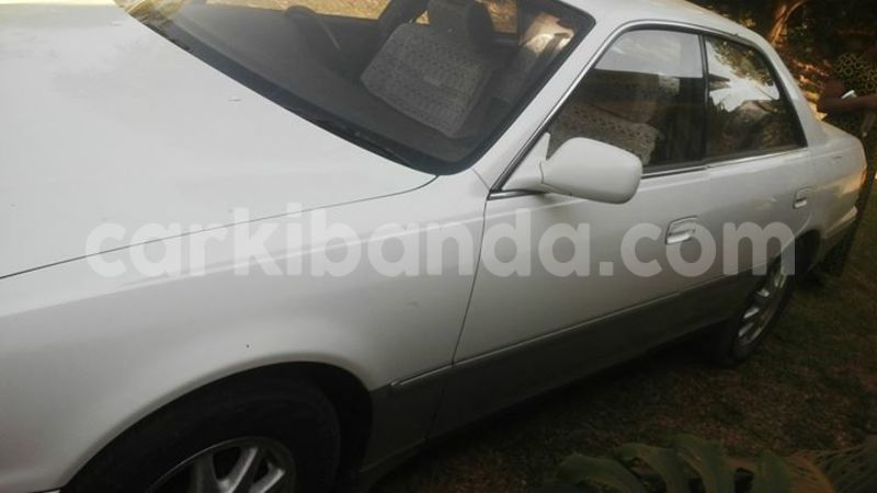 Big with watermark 15285033 1129442643839909 5134408343826197814 n