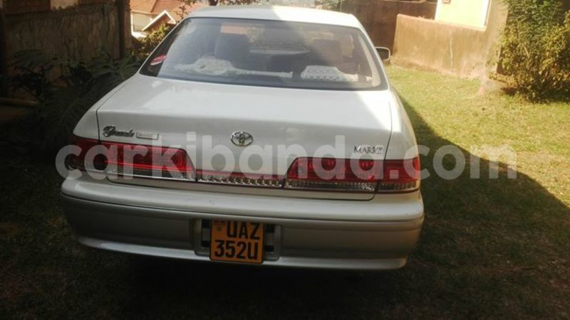 Big with watermark 15284065 1129442633839910 5230908860684797680 n